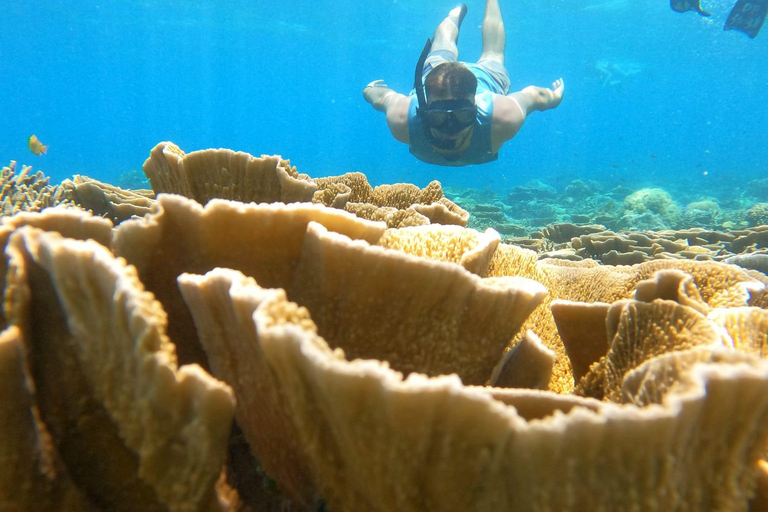 3 Gilis Snorkeling Tour Start Gili Air