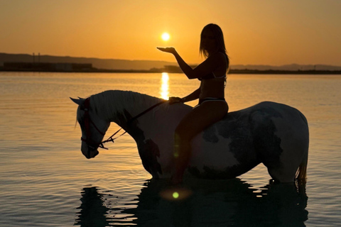 Hurghada: Swimming & Horse riding with FREE Photos & Videos 2-Hour Horse Swimming & Photos with Transfer