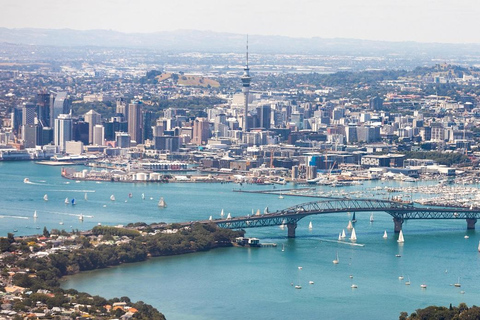 Visite d&#039;une demi-journée à Auckland City Top Spots (visite en petit groupe)