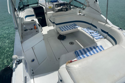 Miami: tour por la isla de los multimillonarios, el banco de arena y la isla de los mapaches.Miami: Isla de los multimillonarios, Sandbar y Raccoon Island Tour