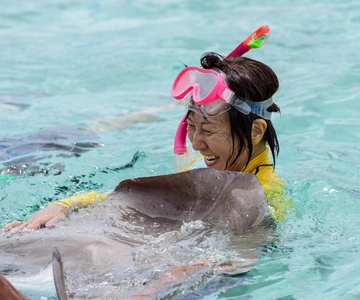 Bora Bora: Full-Day Lagoon Snorkelling Tour