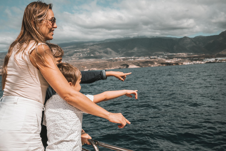 Costa Adeje: Catamaran Tour, Snorkelling, Snacks & Drinks
