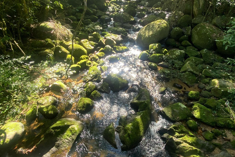 2-Day Private Rio Experience: Highlights, Nature & Culture 2 Days Private Tour in Rio de Janeiro