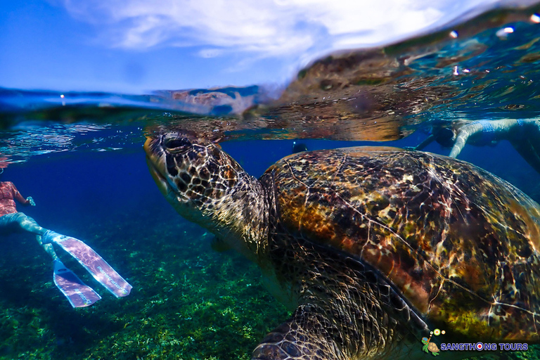 Koh Tao: Excursão de um dia com mergulho com snorkel nas ilhas e almoçoKoh Tao: Ilhas Snorkeling Destaques Day Tour &amp; Almoço