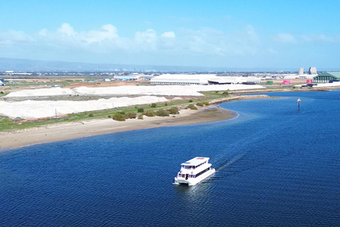 Port Adelaide: Dolphin and Maritime Cruise