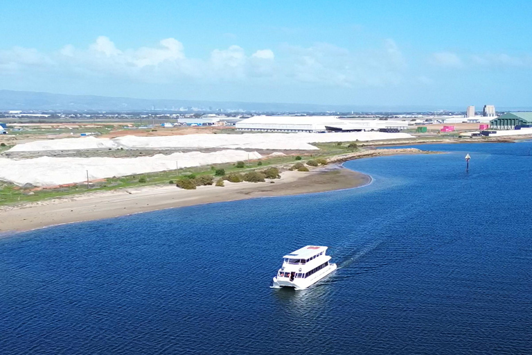 Port Adelaide: Dolphin and Maritime Cruise