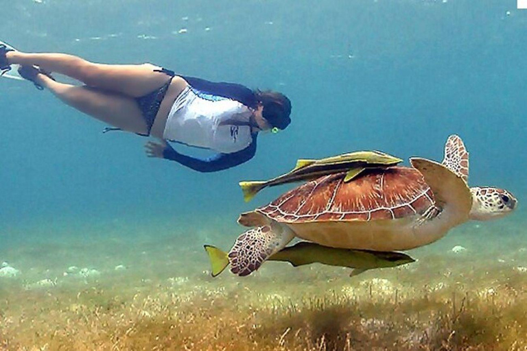 Cancun : Ruines de Tulum et plongée en apnée avec les tortues de mer