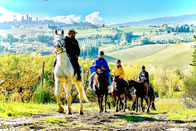 Horseback Riding with Wine Tour from Florence