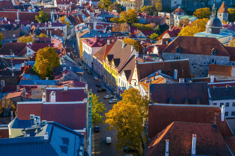 Tallinn Jewish History Landmarks Private Guided Walking Tour 2-hour: Jewish History Walking Tour