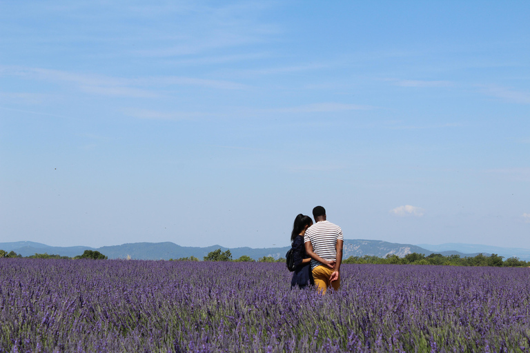 From Aix-en-Provence : Sunset Lavender Tour in Valensole