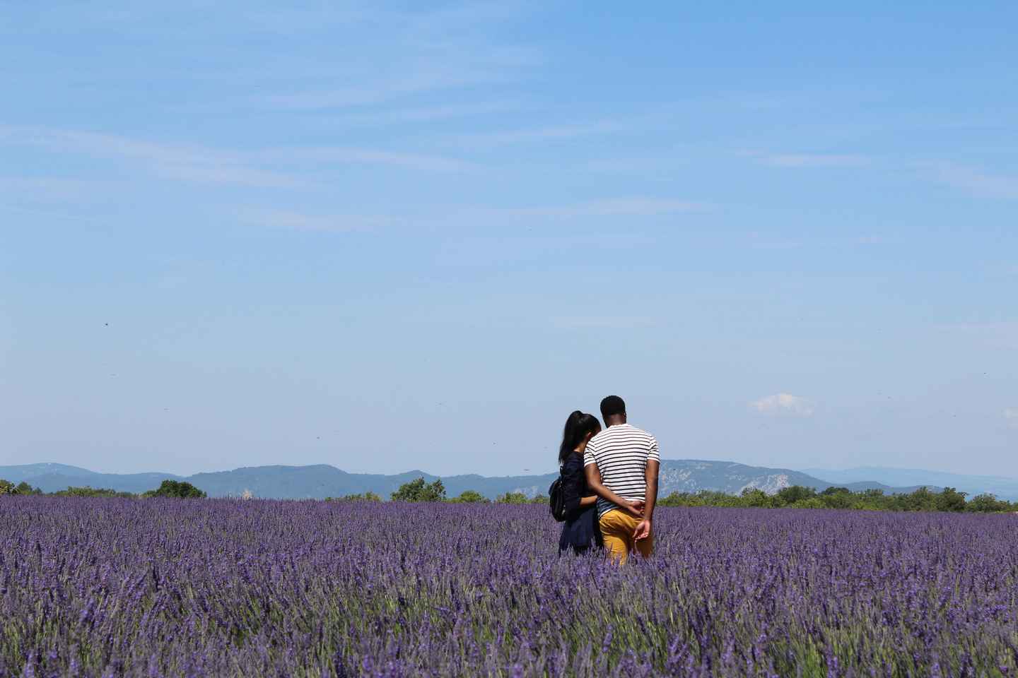 From Aix-en-Provence : Sunset Lavender Tour in Valensole