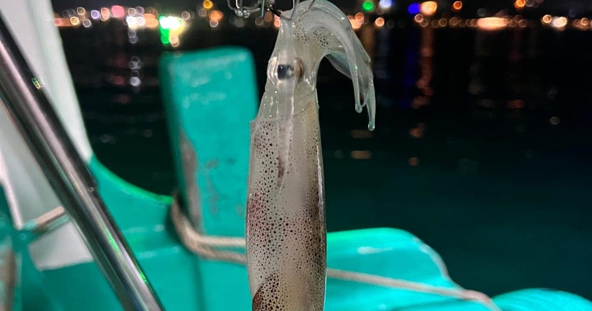 Sunset Boat Trip & Night Squid Fishing, Phu Quoc, Vietnam