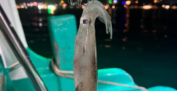 Sunset Boat Trip & Night Squid Fishing, Phu Quoc, Vietnam