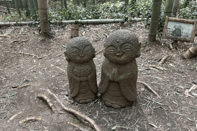 Kyoto: Private Shore Excursion from Osaka/Kobe port