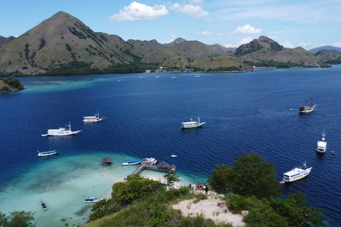 Labuan Bajo: 4-daagse Komodo-zwemmen met haaien en Komodo