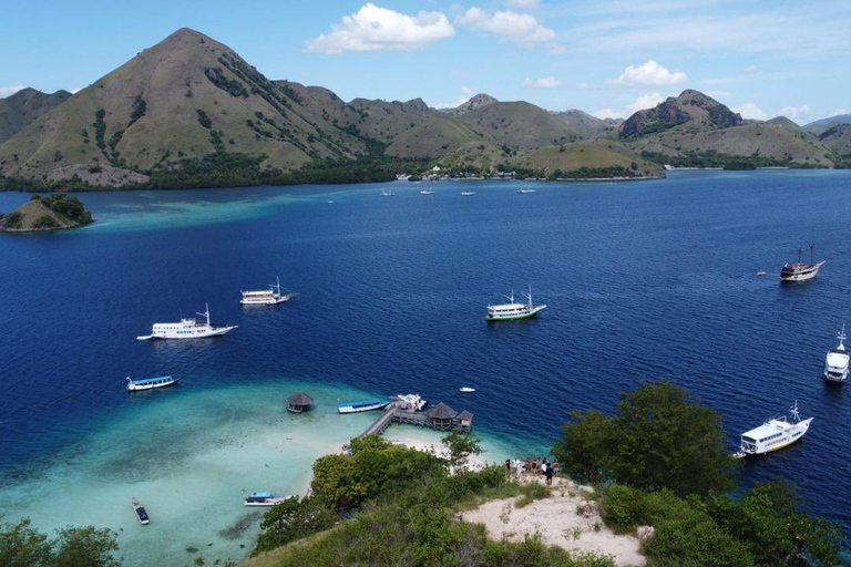 Labuan Bajo: 4-daagse Komodo-zwemmen met haaien en Komodo