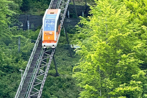 Wien: Hallstatt Salzkammergut Tagestour mit Option Skywalk