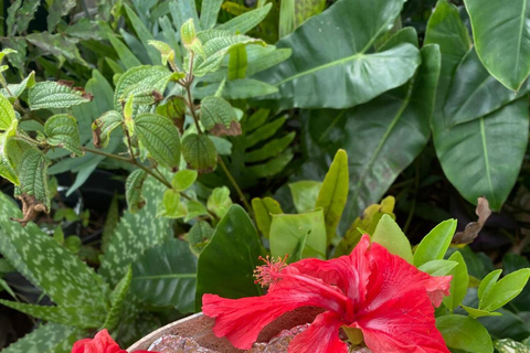 Een week vol onvergetelijke activiteiten in Guadeloupe!