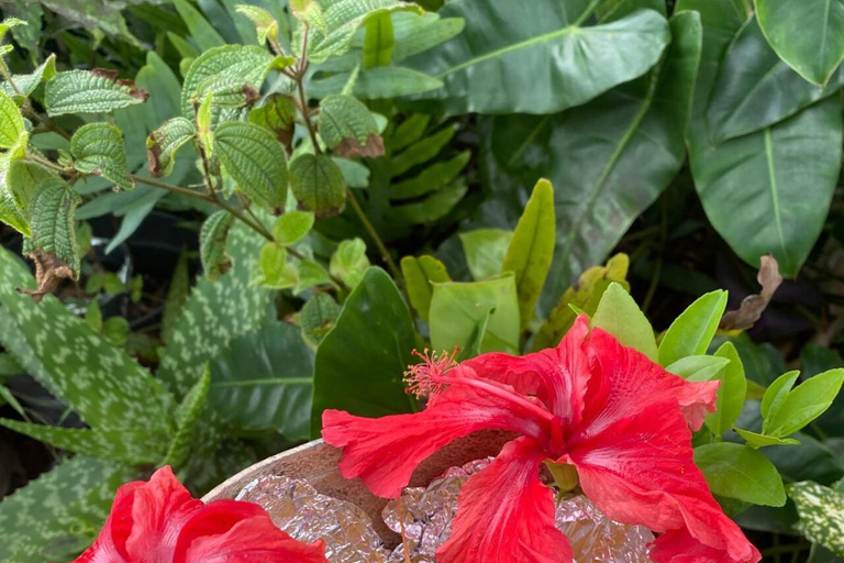 Een week vol onvergetelijke activiteiten in Guadeloupe!