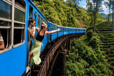 From Kandy: Ella Private Drop-Off & Nanu Oya Train Ride