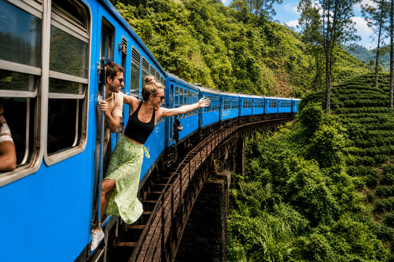 From Kandy: Ella Private Drop-Off & Nanu Oya Train Ride
