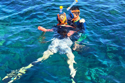 Glass Bottom Nylon Pool Tour in Buccoo Reef