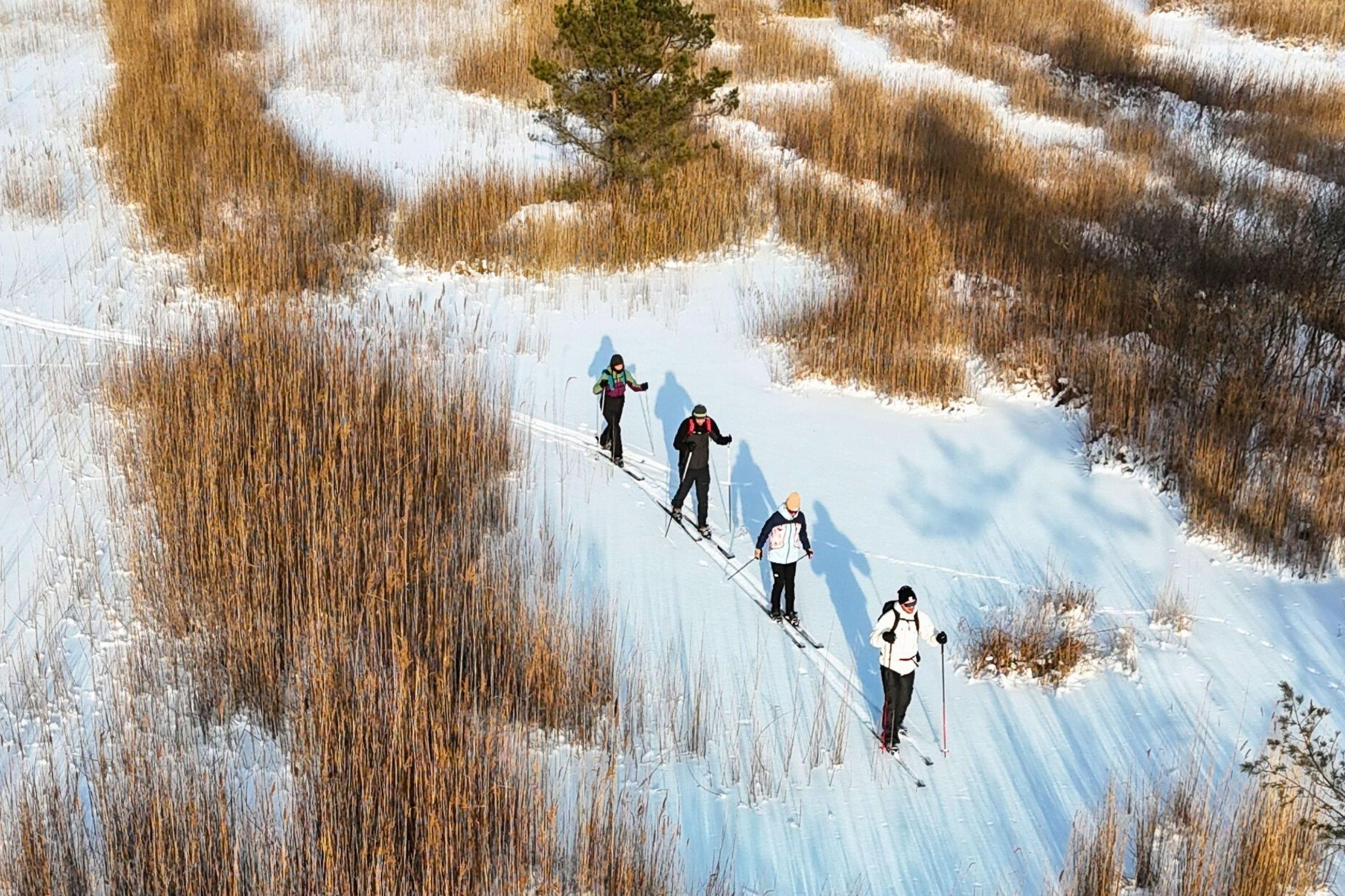 Ab Riga: Skifahren im Wald mit Ausrüstung