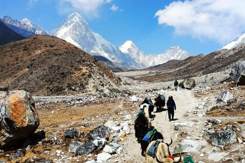 Excursión al Campo Base del Everest