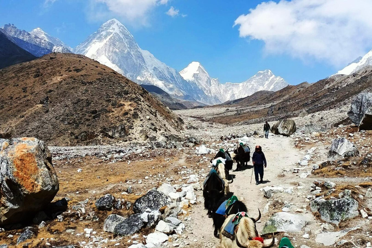 Excursión al Campo Base del Everest