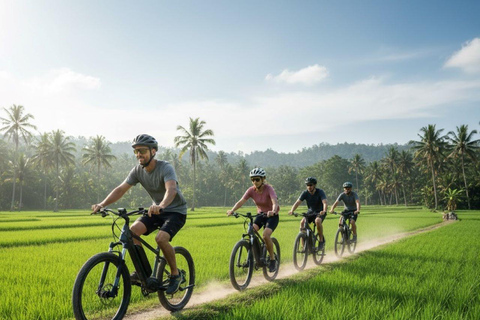Galle: E-Bike Tour with Village Lunch and Local Guide
