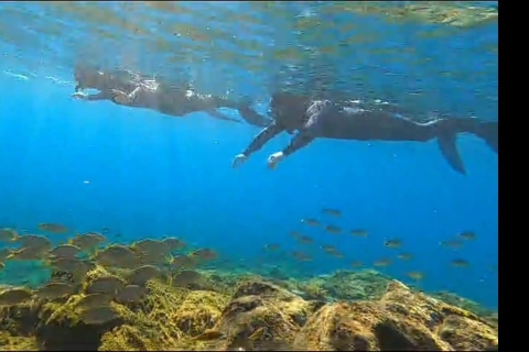 Abades: snorkeltocht in een beschermd zeegebied