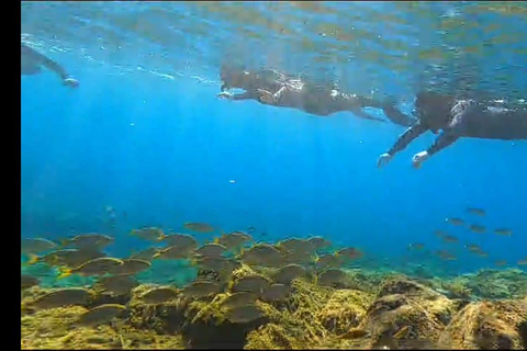 Abades: snorkeltocht in een beschermd zeegebied