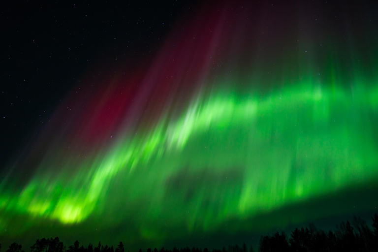 Rovaniemi: Aurora Hunt with 95% Success Rate, 4 people group Rovaniemi: Aurora Hunt with 95% Success Rate, PRIVATE
