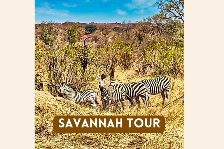 Victoriafälle: Savannah-Abenteuer mit MittagessenSavannah-Abenteuer
