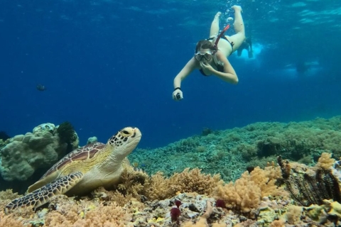 Gili Trawangan : Gili Island 3 Spots Snorkeling with Turtle (plongée en apnée avec tortue)