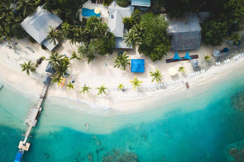 Vanuatu: Hideaway Island Escape and Coffee Roastery Visit