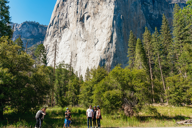 San Francisco: Yosemite-Nationalpark und RiesenmammutbäumeGruppentour auf Englisch