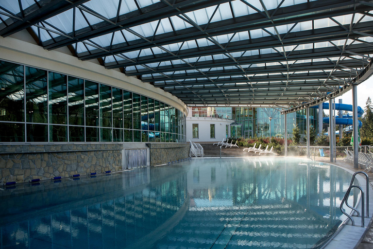 Zakopane Region: Termy Bukovina Thermal Baths Entry Ticket 3-Hour Ticket | Pool Zone