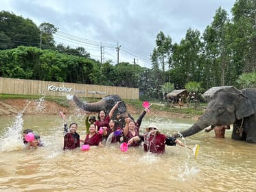 Phuket, Elephant Experience with Lunch or Dinner and Pickup - Housity