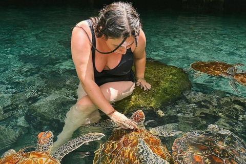 Salaam-grottan där man kan simma med sköldpaddor och Mtende-strandenPrivat tur från Paje, Kizimkazi, Michanvi, Jambiani