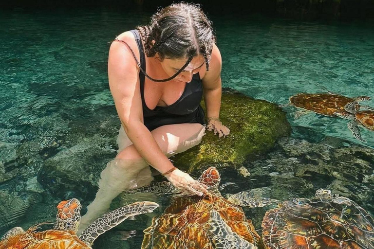 Salaam-grottan där man kan simma med sköldpaddor och Mtende-strandenPrivat tur från Paje, Kizimkazi, Michanvi, Jambiani