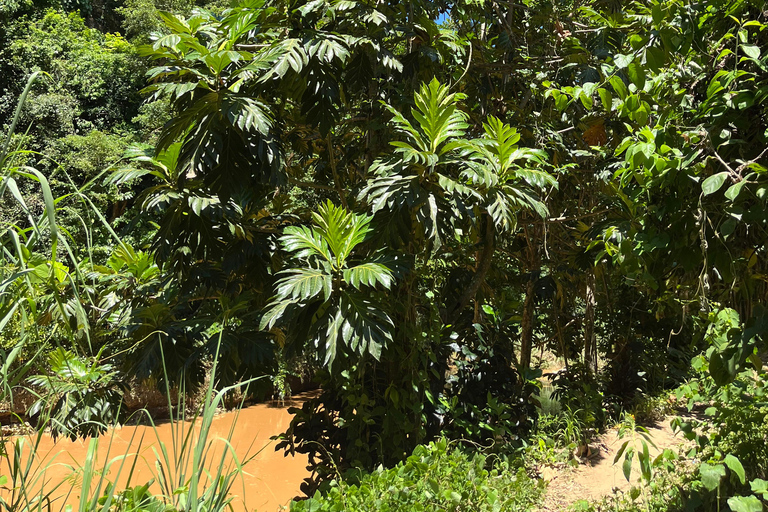 San Juan - Arecibo : expédition dans le Midwest, chutes d'eau et plage