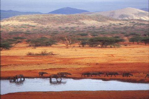 Nairobi: 3-Days Tsavo West Safari