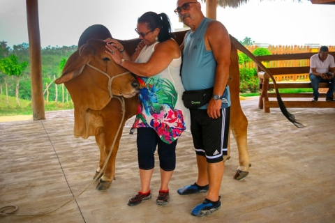 Punta cana: 3 tours zip line, buggy en paardrijden.Volledige dag 3 in 1: zipline, buggy en paardrijden.