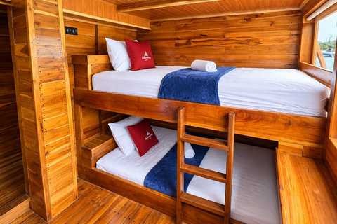 3D Komodo Sailing & Land Tour 12 Stops Single Bed & Hotel 3-Day Shared Cabin, Single Bed No Land Tour No Park Fee