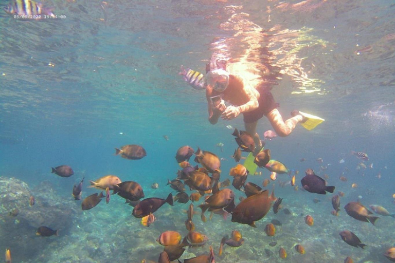 From Bali: Explore West Nusa Penida with Snorkeling From Bali: Nusa Penida West Highlights with Snorkeling