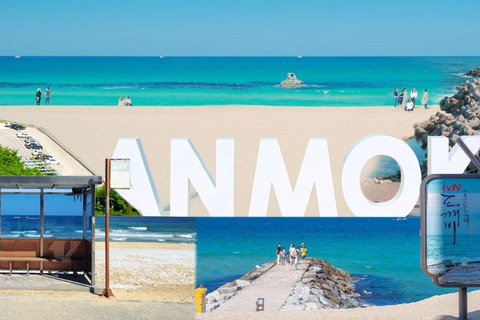 Seoul: Gangneung from K-Pop Band Bus Stop to Anmok Beach Option 1, meet at Dongdaemun