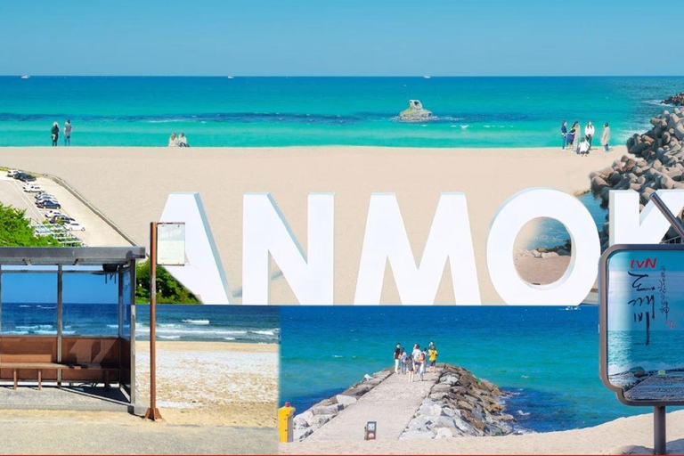Seoul: Gangneung from K-Pop Band Bus Stop to Anmok Beach Option 1, meet at Dongdaemun