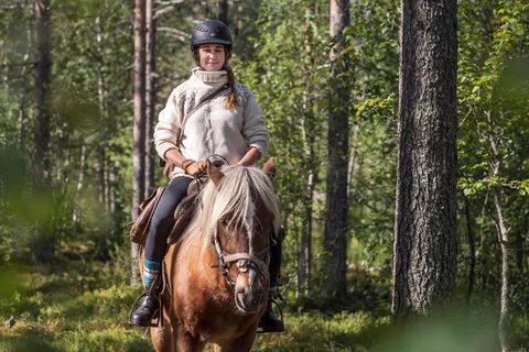 Levi: Evening Horseback Ride with Northern Lights