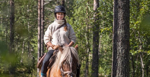 Levi: Evening Horseback Ride with Northern Lights